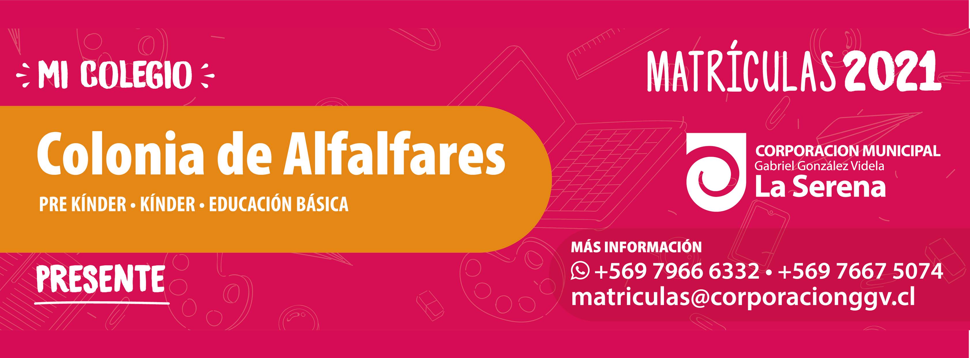 colegio-contacto